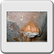 Fango tra l'aragonite