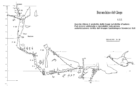 Buranchino del Giogo - Sezione