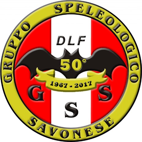 Logo del 50°