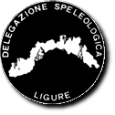 Logo DSL