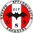 Logo GSS
