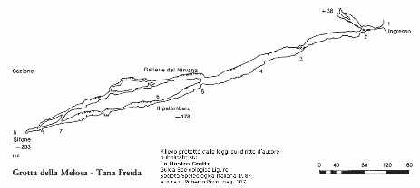 Grotta della Melosa - Sezione