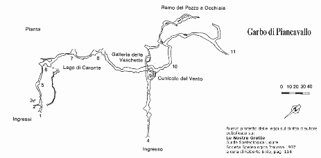 Garbo di Piancavallo - Pianta