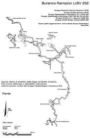 Buranco Rampi�n - Pianta