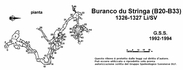 Buranco du Stringa - Pianta
