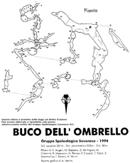 Buco dell'Ombrello - Pianta