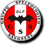 Logo GSS