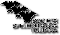 Logo SSI